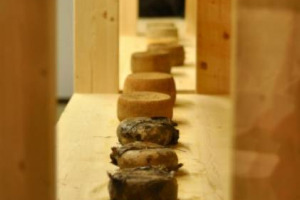 IL 2013 CONSOLIDA L’EGEMONIA DEL MADE IN ITALY CASEARIO SULLA FRANCIA, CON UN BALZO IN AVANTI DEL 7,6% DELL’EXPORT DI FORMAGGI VERSO IL PAESE D’OLTRALPE, DOVE LE SPEDIZIONI HANNO SUPERATO 67.000 TONNELLATE. A CONFERMARE I RISULTATI POSITIVI È L’ISMEA