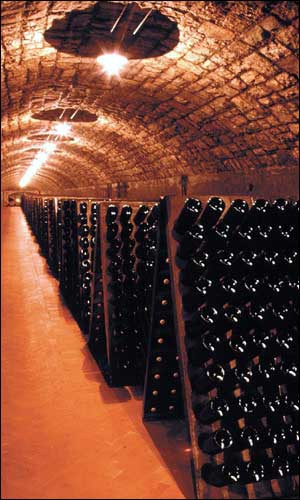 Una cantina in Franciacorta