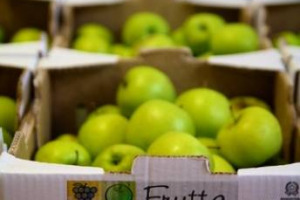 “FRUTTA NELLE SCUOLE”: 20,5 MILIONI DI EURO DALL’UNIONE EUROPEA ALL’ITALIA PER IL PROGRAMMA 2013-2014. CHE SALIRANNO A 35 CON I SOLDI DEL MINISTERO DELL’ECONOMIA E DEL FONDO DI ROTAZIONE. IN 5 ANNI 4 MILIONI DI ALUNNI COINVOLTI