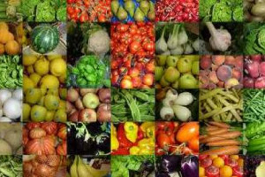 La prima voce dell’export agroalimentare italiano non è il vino, ma il settore ortofrutticolo, che nel 2014 ha toccato i 7,63 miliardi, dice Confagricoltura. Che, da “Fruit Innovation” a Milano, guarda con maggior convinzione all’internazionalizzazione