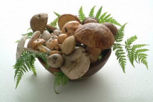 Se c’è chi in campagna fa già la conta dei danni, e in vigna guarda con apprensione al meteo, c’è anche chi gioisce per l’arrivo del maltempo di fine agosto, che “è forse l’ultima chance per far gioire gli appassionati di funghi”, dice Coldiretti