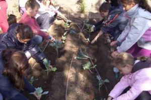DA CASA BIANCA AD OSPEDALE MEYER, DA ORTO-VIGNETO IN TERRA SANTA A ORTI &ldquo;AFFIDATI&rdquo; A ANZIANI, AD ORTI DI PROSSIMITA&rsquo; DI RISTORANTI. IL CONCETTO DI ORTO COME MODELLO EDUCATIVO SI FA STRADA. CONVEGNO WINENEWS, RISERVATO A SCUOLE, SU &ldquo;IL GIRO DELL&rsquo;ORTO&rdquo;