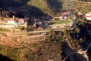 &Egrave; UFFICIALE, FRESCOBALDI &ldquo;LIBERA&rdquo; IL VINO DI GORGONA: LA FAMIGLIA CHE PRODUCE VINI DAL &rsquo;700, SOSTERR&Agrave; IL PROGETTO DI VITICOLTURA CURATO DAI CARCERATI DELL&rsquo;ISOLA CON &ldquo;FRESCOBALDI PER IL CARCERE DELLA GORGONA&rdquo;. LA PRESENTAZIONE, A ROMA, IL 30 MAGGIO