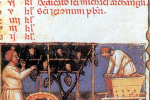 IL VINO NELLA STORIA