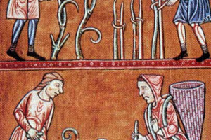 VINO & CULTURA: IL PATRIMONIO DELLA BIBLIOTECA INTERNAZIONALE &#8220;LA VIGNA&#8221; DI VICENZA