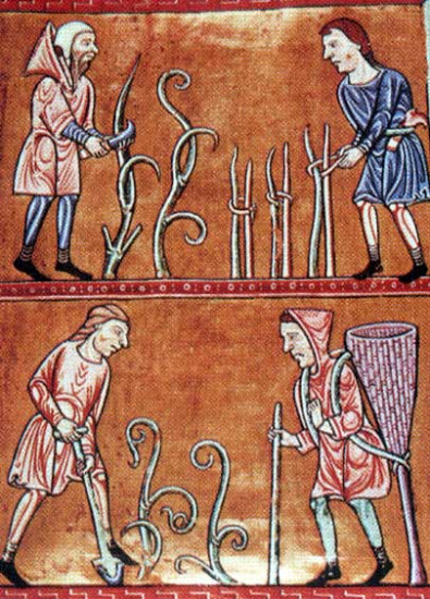 Quattro vignaioli nel Medioevo raffigurati in un prezioso documento