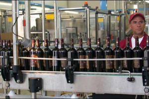 PREZZI DELL’UVA ALLE STELLE. “E’ NECESSARIO RIVEDERE I LISTINI”: ECCO LA DECISIONE DEGLI IMBOTTIGLIATORI DELL’UNIONE ITALIANA VINI (UIV). IN ARRIVO AUMENTI DEL 20/25% PER I VINI BASE E DEL 10% PER I VINI D’ALTA FASCIA