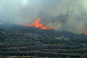 Incendio a Pantelleria, devastati ettari di macchia mediterranea, danni anche alle viti ad alberello patrimonio Unesco. Antonio Rallo (Donnafugata): &ldquo;per la viticoltura poteva andare peggio, ma il danno complessivo &egrave; enorme&rdquo;