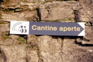 IL VINO TROVA LE SUE STRADE: I CONTENUTI DELLA NUOVA LEGGE