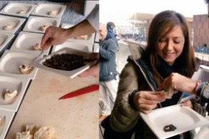 Crostini di ricotta, noci e grilli: oggi all’Expo 2015 a Milano la Società Umanitaria e la Coop hanno realizzato la prima, e unica, degustazione autorizzata del cibo del futuro, gli insetti. “Gourmet”, perché preparati dallo chef Marco Ambrosino