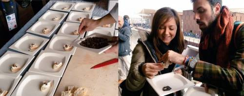 Oggi, in Expo, la prima degustazione di insetti in Coop Italia