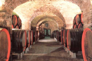 IL BACCO E MINERVA, OVVERO IL CONCORSO TRA LE "SCUOLE DEL VINO" D'ITALIA, AGLI STUDENTI DELL'ISTITUTO DI SAN MICHELE ALL'ADIGE