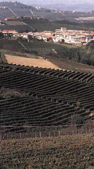 Langhe