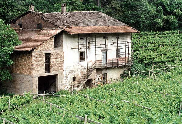 Il Maso Franch in fase di restauro