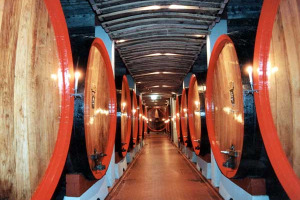 LA VITIVINICOLTURA TRENTINA IN CIFRE