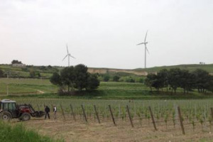 COME CAMBIA IL LAVORO IN AGRICOLTURA, E QUALI SONO GLI STRUMENTI PER REGOLAMENTARLO E SOSTENERLO, CREANDO NUOVE OPPORTUNITÀ? LE RISPOSTE NEL PROGETTO DI RICERCA “L’ATTRATTIVITÀ DEI MESTIERI DELL’AGRICOLTURA: NUOVA OCCUPAZIONE E INCLUSIONE SOCIALE”