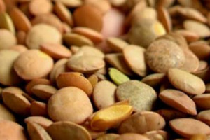 LENTICCHIE, TRA IL 31 DICEMBRE 2010 E IL 1 GENNAIO 2011 GLI ITALIANI NE CONSUMERANNO LA CIFRA RECORD 2 MILIONI DI CHILI. “IL CONTO” DELLA CIA - CONFEDERAZIONE ITALIANA AGRICOLTORI