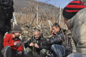 PER AVERE PIANTE PIU&rsquo; LONGEVE CHE PRODUCANO UVE DI QUALITA&rsquo; SUPERIORE, CON UN OCCHIO AI CONTI &hellip; LA VALTELLINA PUNTA SUL METODO &ldquo;SIMONIT & SIRCH&rdquo;