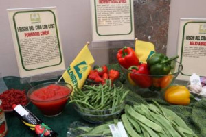 SPESA LOW COST? PER CONSUMATORI E MADE IN ITALY È HIGH RISK. BOOM DEL BASSO COSTO SULLE TAVOLE: IL 62,3% DELLE FAMIGLIE TAGLIA QUANTITÀ E QUALITÀ, E CRESCONO GLI ALLARMI ALIMENTARI ... ECCO IL MONDO LOW COST E “ISTRUZIONI PER L’USO” BY COLDIRETTI