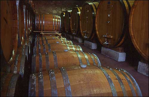 Uno scorcio della cantina di Rocca delle Macie