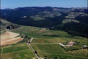 NON SOLO VINO... ROCCA DELLE MACIE VUOL DIRE RELAIS RISERVA DI FIZZANO ED EVENTI CULTURALI