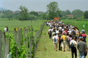 “MANGIALONGA” E CONCERTO DEL “SIGNORE DELLA MUSICA ITALIANA”, NICOLA ARIGLIANO: QUESTI GLI EVENTI DI SCENA DA CAPRAI A MONTEFALCO PER “CANTINE APERTE”, LA PIÙ GRANDE FESTA DEL VINO ITALIANO, DOMENICA 28 MAGGIO