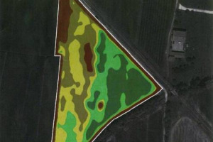 VENDEMMIA 2008 - GLI ULTIMI RITROVATI DELLA VITICOLTURA E DELL’ENOLOGIA DI PRECISIONE IN FRANCIACORTA NELLA STORICA MAISON BERLUCCHI. UVE CAMPIONATE COL GPS, PRESSE “INTELLIGENTI”, ANALISI TEMPESTIVE … COSÌ CAMBIA IL MODO DI FARE IL VINO