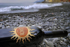 CONCORSO ESCLUSIVO CHE PREMIA IL FOTOGRAFO PIU&rsquo; BRAVO NELL&rsquo;INTERPRETARE LA NASCITA E LA VITA DELL&rsquo;ETICHETTA &ldquo;LUCE&rdquo; BY MARCHESI DE&rsquo; FRESCOBALDI