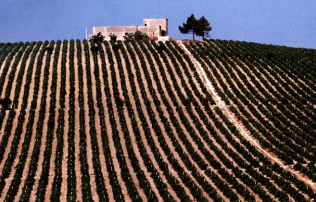 Italia