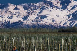 Il clima penalizza la vendemmia 2017 anche nell&rsquo;emisfero Sud: un&rsquo;estate calda e asciutta ha permesso di portare in cantina uve qualitativamente perfette, ma decimate da incendi e ondate di calore in Cile e da gelate e grandine in Argentina