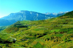 ECCO I MIGLIORI VINI DI MONTAGNA. E L&rsquo;ITALIA COM&rsquo;&Egrave; ANDATA NEL CONCORSO INTERNAZIONALE CERVIM? PREMIO SPECIALE & ECCELLENZA ALLA SICILIANA ABRAXAS. MEDAGLIA IMPORTANTE PER ANDREOLA (VALDOBBIADENE). ORO PER TASCA D&rsquo;ALMERITA, CAVIT, NINO NEGRI ...