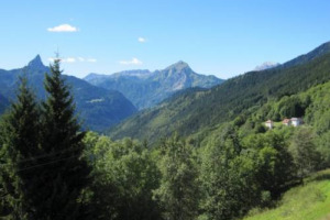 OGGI LA MONTAGNA ITALIANA HA 150.000 IMPRESE AGRICOLE FAMILIARI ATTIVE, PER UN TOTALE DI 1 MILIONI DI ETTARI, E GLI OCCUPATI, SPECIE GIOVANI, RICOMINCIANO A CRESCERE. I NUMERI DI UNA REALTÀ DI NICCHIA NELLE PAROLE DELL’ECONOMISTA GIAMPIETRO COMOLLI