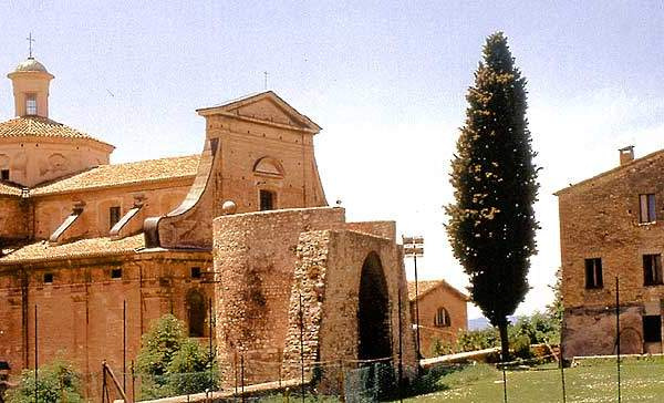 Convento di S.Chiara: nell’orto si trova una vite di 150 anni