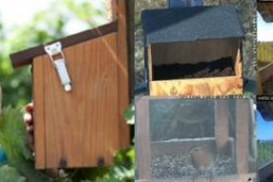 &ldquo;GF&rdquo; FRA LE VIGNE: A MONTEFALCO TRA I FILARI DI SAGRANTINO (AZIENDA ROMANELLI) PER SBIRCIARE IN DIRETTA LA VITA SEGRETA DI CINCIALLEGRE, ALLOCCHI E FALCHI. CON WEBCAM NEI NIDI PER &ldquo;SEGUIRE&rdquo; QUESTI VOLATILI PASSEGGIANDO NELLA NATURA O CON UN CLICK