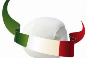 Non c’è pace per la Mozzarella di Bufala Campana Dop: 13 arresti nel Casertano per adulterazione e altri reati contestati, con possibili rischi per la salute, secondo la Procura. Al centro dell’inchiesta, il Caseificio Cantile di Spanise