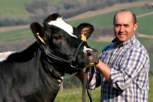 Una stalla su 5 è sopravvissuta alle quote latte che finisce oggi dopo oltre 30 anni, lasciando in Italia appena 36.000 allevamenti ma il rischio di nuove multe è ancora concreto e con esso anche un’invasione 40% di latte dall’estero. Così Coldiretti