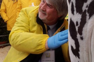 Ministri, politici, governatori, sindaci, consumatori, ambientalisti, tutti “allevatori per un giorno” mungendo mucche in Piazza Affari a Milano, Piazza San Marco a Venezia, Campidoglio a Roma, nella protesta del latte con maximungitura di Coldiretti