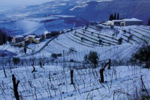 DALL&rsquo;IMU SUI FABBRICATI RURALI (4 MILIONI DI UNIT&Agrave;) TASSE SUL COMPARTO PER 1,2 MILIARDI DI EURO. LE STIME DI CONFAGRICOLTURA SULL&rsquo;EFFETTO DELLA MANOVRA MONTI. E CON IL &ldquo;MILLEPROROGHE&rdquo; APPROVATO OGGI TEMPO FINO AL 31 MARZO 2012 PER L&rsquo;ACCATASTAMENTO