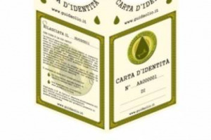 ANCHE L’OLIO AVRA’ LA SUA CARTA D’IDENTITA’. LA LOTTA ALLA CONTRAFFAZIONE E LA SALVAGUARDIA DELLA QUALITA’ DEGLI OLI EXTRA VERGINE HANNO UN NUOVO ALLEATO: UN VERO E PROPRIO DOCUMENTO DI IDENTITÀ PER GARANTIRE RICONOSCIBILITA’ E PROVENIENZA