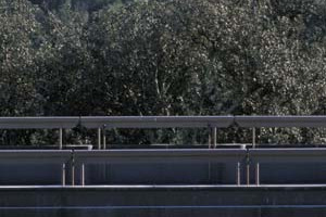 EFFETTO-SERRA, NELLE VITI LA SOLUZIONE ... IN ORNELLAIA LABORATORIO &ldquo;A CIELO APERTO&rdquo;, IN COLLABORAZIONE CON L&rsquo;UNIVERSITA&rsquo; DI FIRENZE, PER STUDIARE IL POSTIVO IMPATTO AMBIENTALE DEI VIGNETI NEL MANTENERE L&rsquo;ARIA PULITA