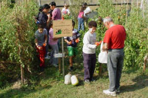 Oggi è San Martino e l’agricoltura celebra la sua “estate”, come un tempo per l’inizio della nuova annata agricola ed il rinnovo dei contratti, a partire dai ragazzi. Ad invitarli a far festa è Slow Food, con la “Festa nazionale di Orto in Condotta”