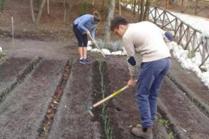 L’Università Luiss di Roma inaugura un “orto condiviso”: uno spazio verde di 500 mq coltivato con prodotti di stagione rigorosamente biologici, che sarà curato interamente da un gruppo di studenti, professori e personale amministrativo