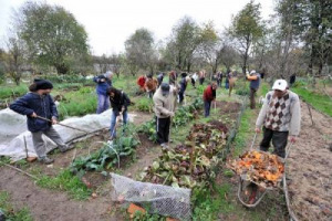 “Gli italiani nell’orto”, indagine Coldiretti/Censis: con l’arrivo della Primavera, il 46% coltiva la terra “fai da te”, più giovani che anziani. Mai così tanti orti in città: 3,3 milioni di mq di terreno. Ecco il decalogo per l’orto perfetto …