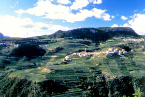 IL TRENTINO LANCIA IL PRIMO PATTO TERRITORIALE SUL TURISMO DEL VINO