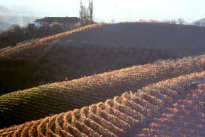 “IL MIGLIOR PIANO REGOLATORE DELLE CITTA’ DEL VINO”? VINCONO, EX EQUO, IDUE MODELLI APPARENTEMENTE IN CONTRADDIZIONE. “OLD STYLE” E “NEW STYLE”, PENSATI COME “MODELLO DEL BUON VIVERE” IN ITALIA: SIZZANO (NOVARA) E CASTELNUOVO BERARDENGA (SIENA)