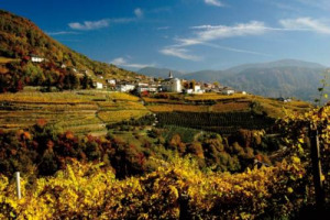 &ldquo;Trentodoc: Bollicine sulla Citt&agrave;&rdquo; - Qualit&agrave;, sostenibilit&agrave;, ricerca scientifica applicata e buone pratiche sono le stelle polari della viticoltura trentina di domani: &egrave; il messaggio che arriva dal convegno sulla viticoltura di montagna