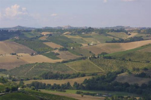 AGRITURIST (CONFAGRICOLTURA) - IMPOSIZIONE ICI AI FABBRICATI RURALI: ERRORI, PROMESSE NEGATE, RITARDI INACCETTABILI … FORTE E FERMA PRESA DI POSIZIONE DI FRONTE AD UNA VICENDA KAFKIANA DELL’“IMPOSTA FANTASMA”