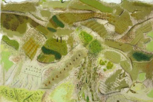 INCHIESTA WINENEWS - ANCHE I PREZZI DELLE UVE NOBILI ITALIANE IN RIBASSO, MA LA QUALIT&Agrave; DELLA MATERIA PRIMA PU&Ograve; PERO&rsquo; PERMETTERE CIFRE REMUNERATIVE PER I VITICOLTORI &hellip; ECCO I PREZZI DELLE UVE NEI GRANDI TERRITORI DEL VINO ITALIANO