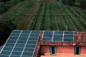 IL MONDO DEL VINO “PIONIERE” DELLA SOSTENIBILITÀ. A “WINE AND ENERGY: EFFICIENZA ENERGETICA”, A VINITALY, IN VISTA DI “SMART ENERGY EXPO”, LE CASE HISTORY DONNAFUGATA E MEZZACORONA E LE PAROLE DI MARCO PEZZAGLIA, A CAPO DI EFFICIENCY NOW