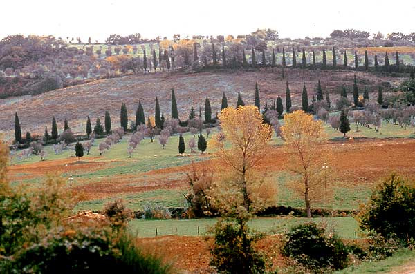 La Toscana è la regina degli investimenti dei vip
